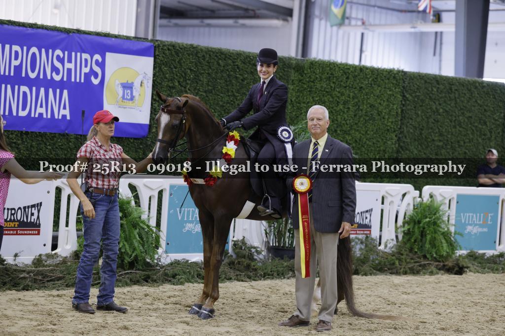 Proof 25R13_09018