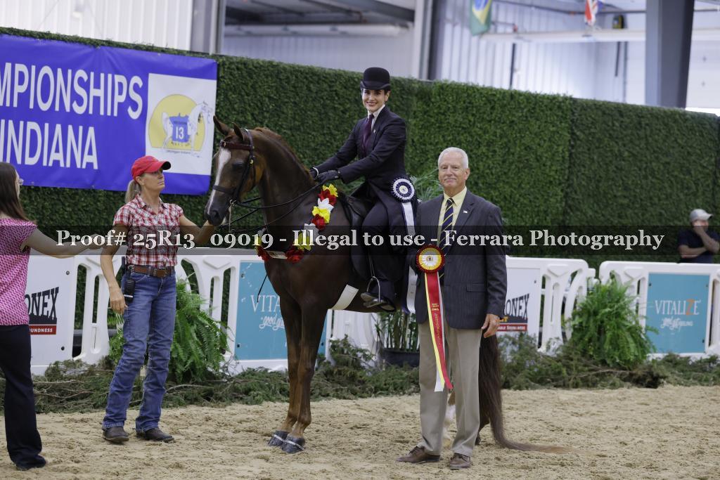 Proof 25R13_09019