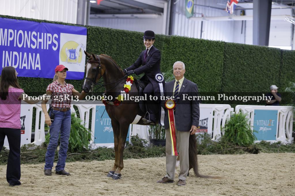 Proof 25R13_09020