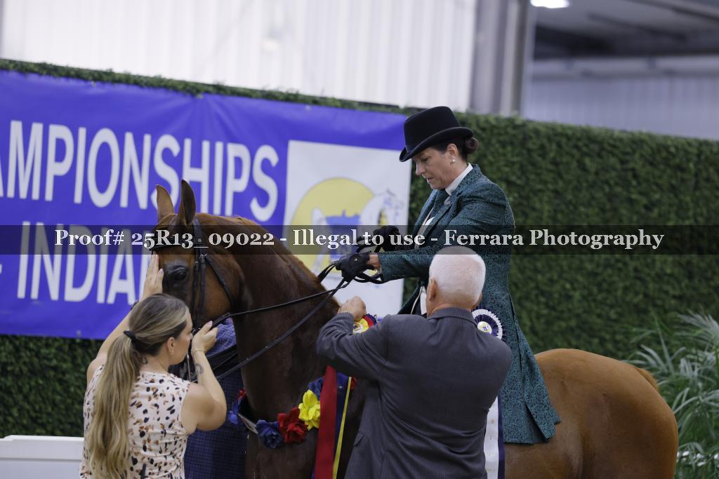 Proof 25R13_09022