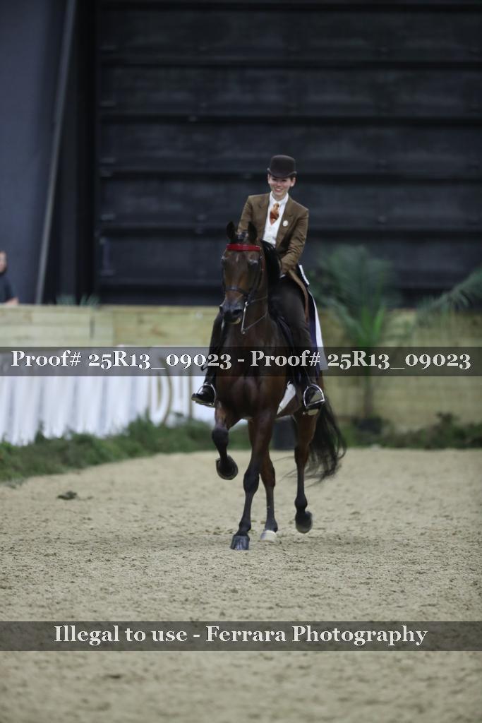 Proof 25R13_09023