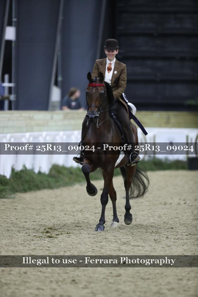 Proof 25R13_09024