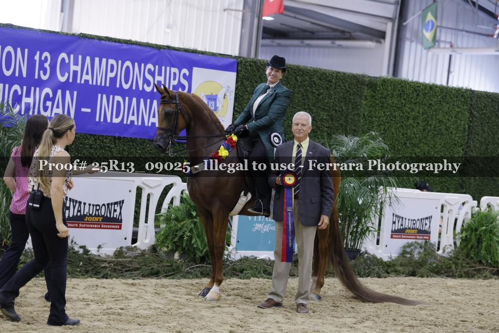 Proof 25R13_09025