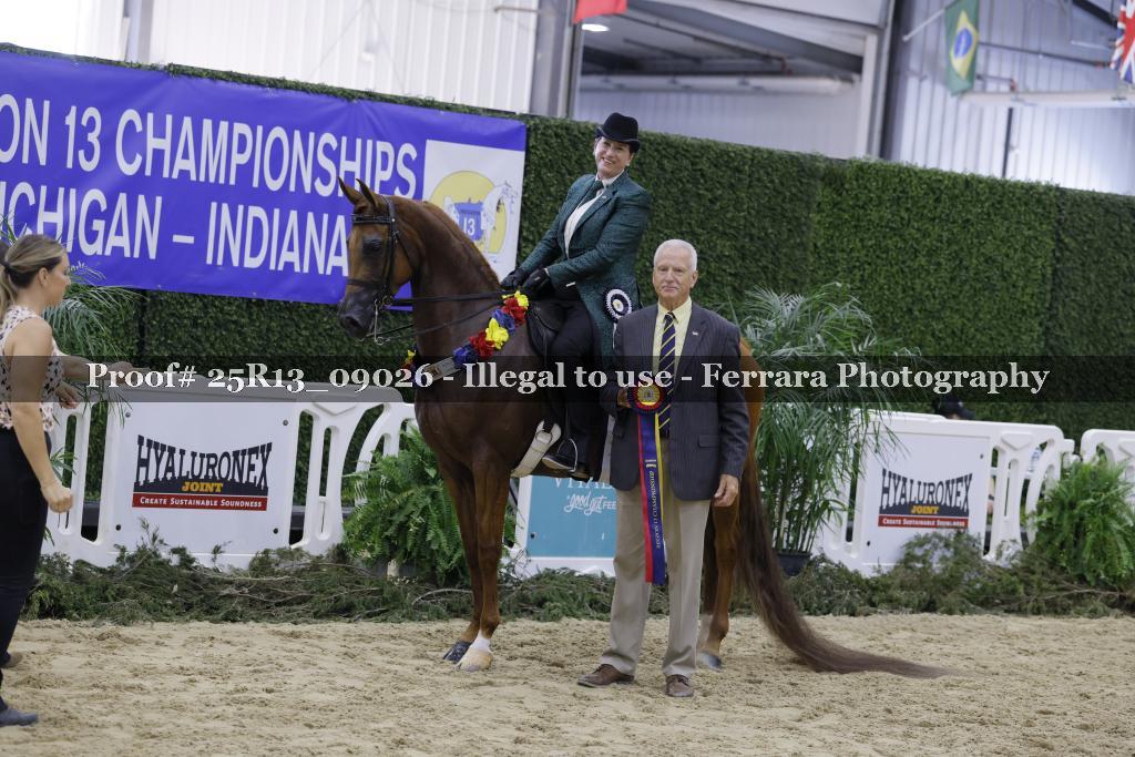 Proof 25R13_09026
