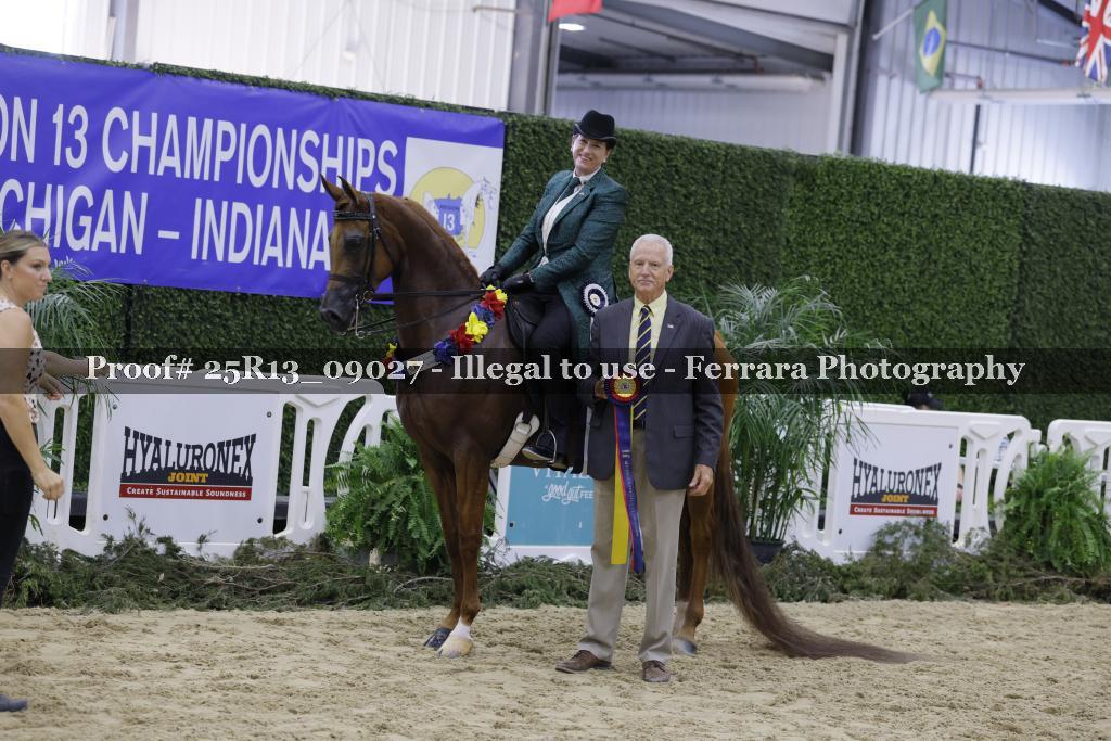 Proof 25R13_09027