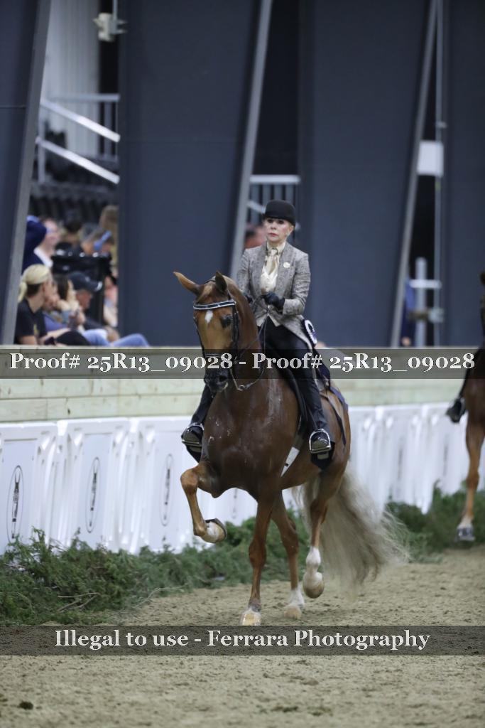 Proof 25R13_09028
