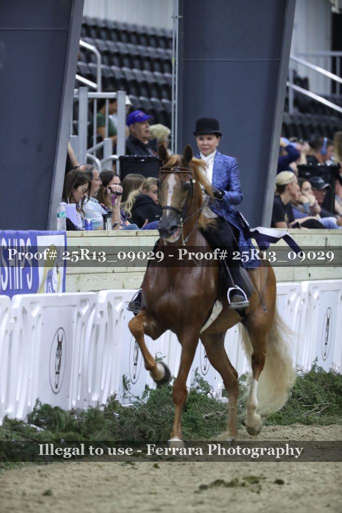 Proof 25R13_09029