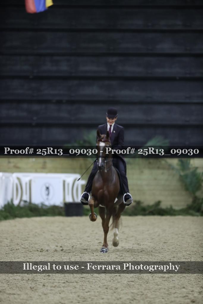 Proof 25R13_09030