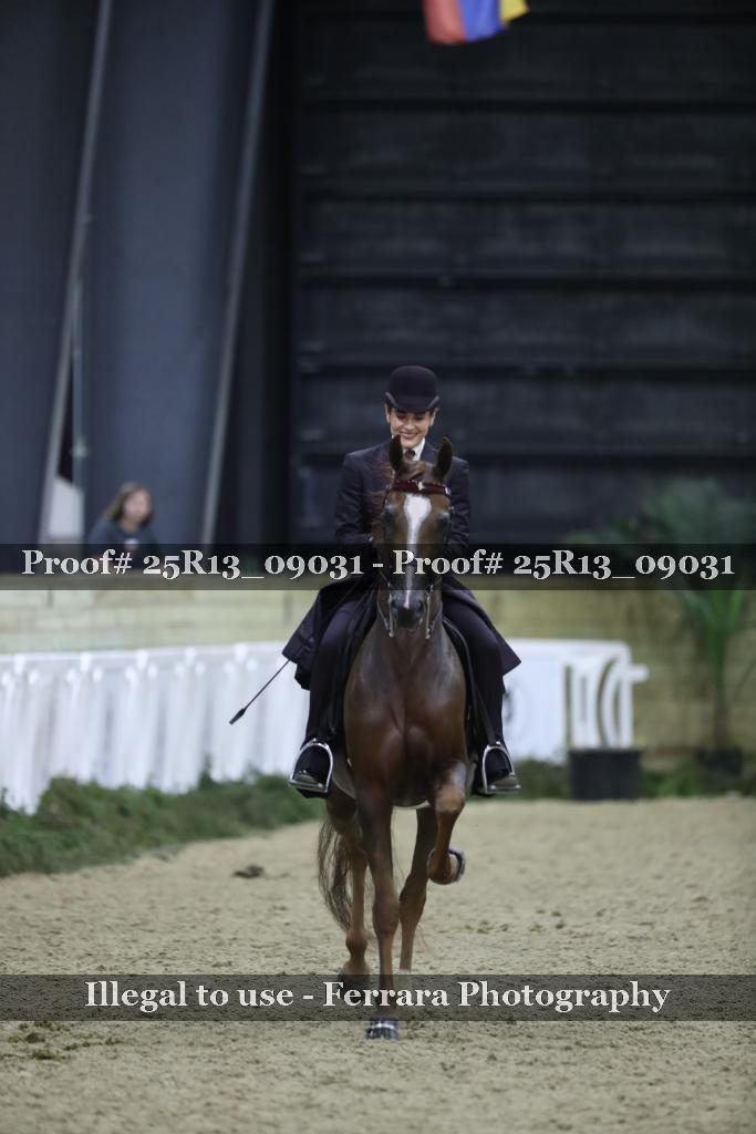 Proof 25R13_09031