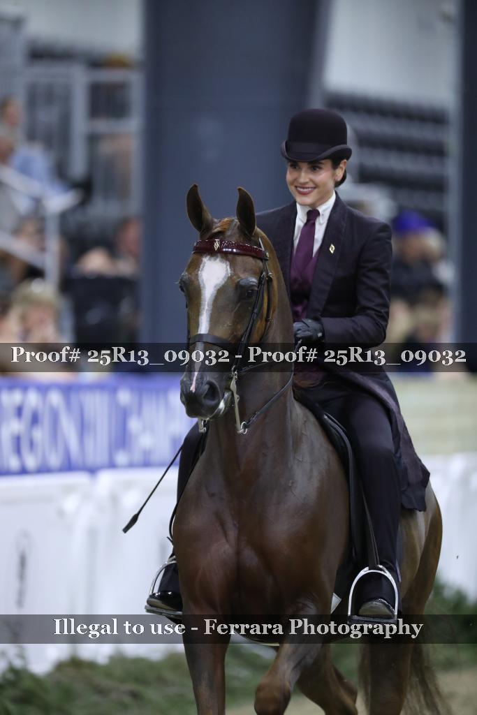 Proof 25R13_09032