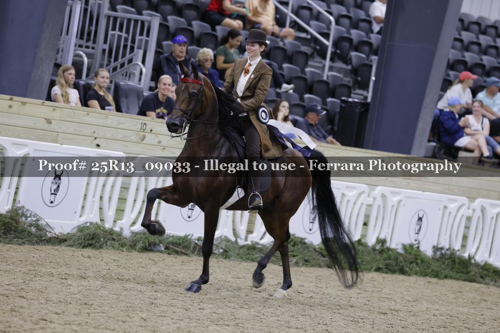 Proof 25R13_09033