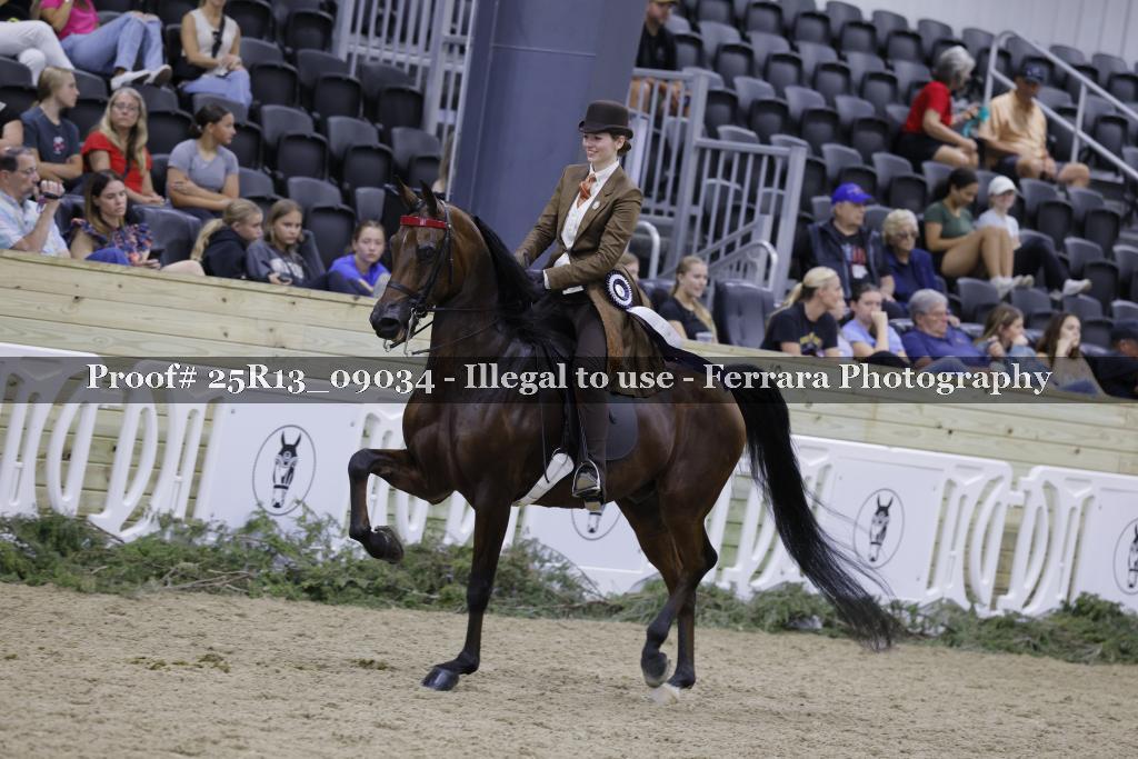 Proof 25R13_09034