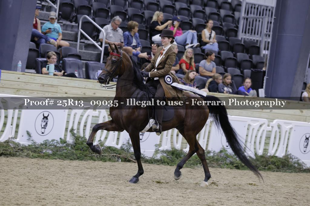 Proof 25R13_09035