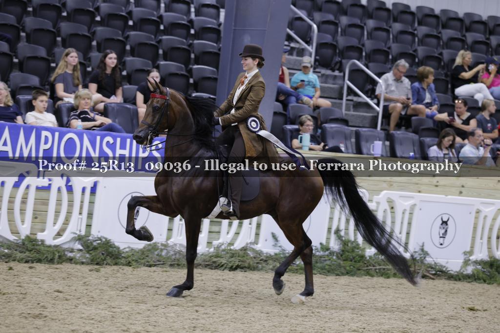 Proof 25R13_09036