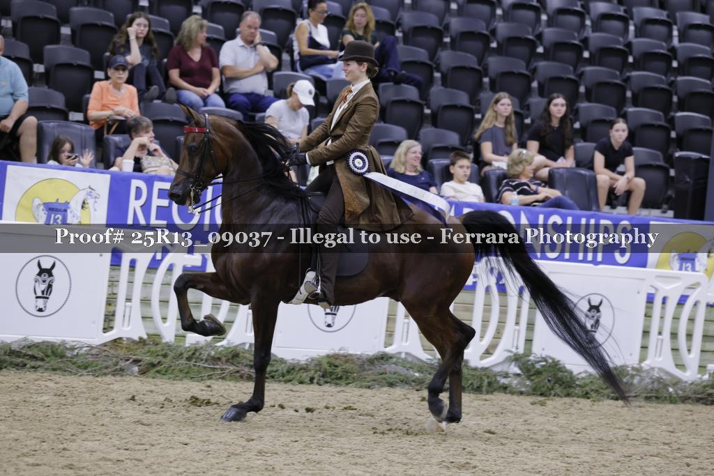 Proof 25R13_09037