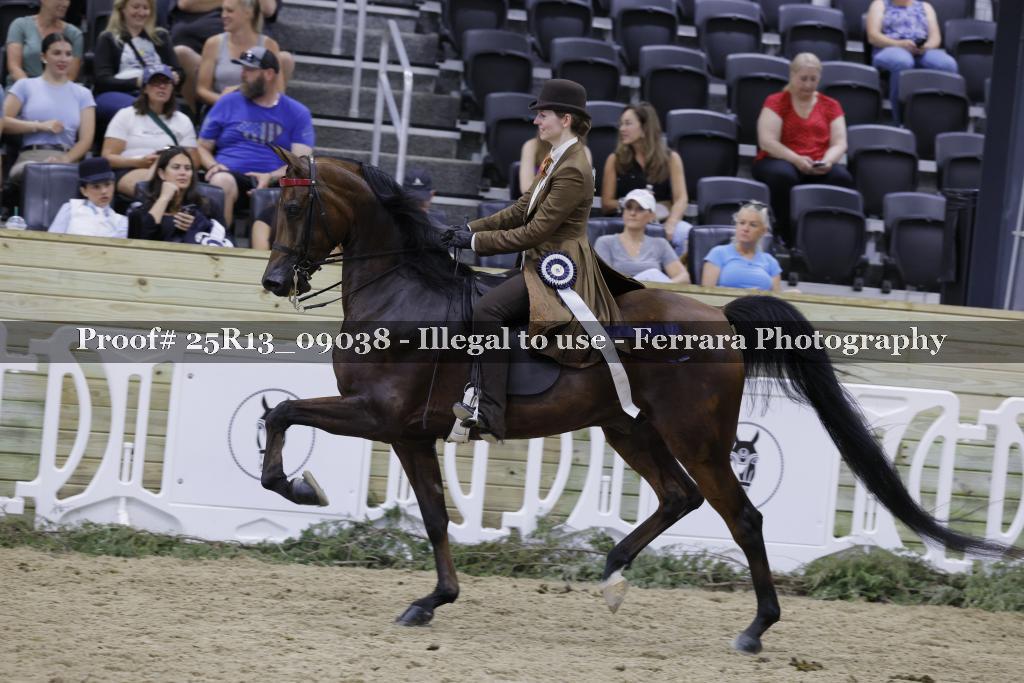 Proof 25R13_09038