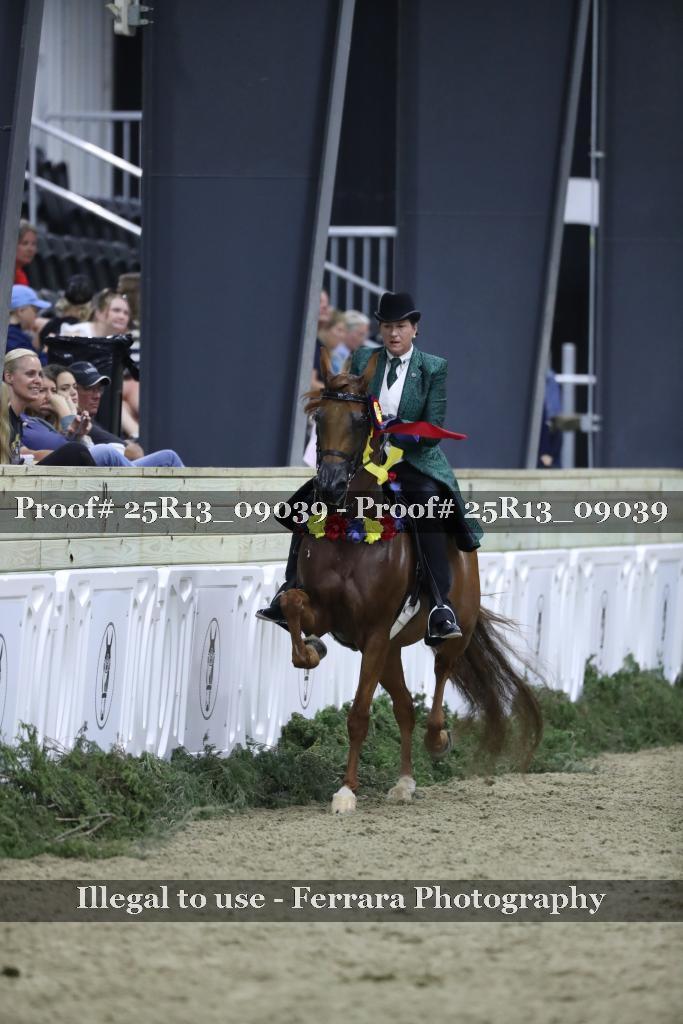 Proof 25R13_09039