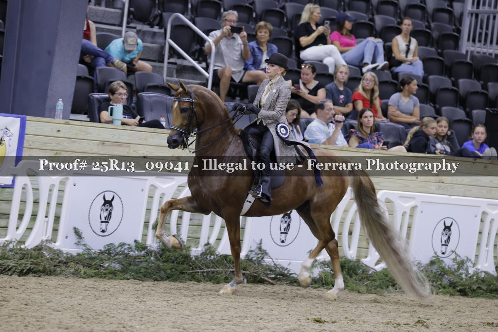 Proof 25R13_09041