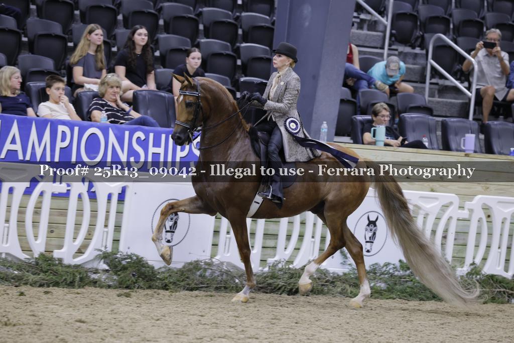 Proof 25R13_09042