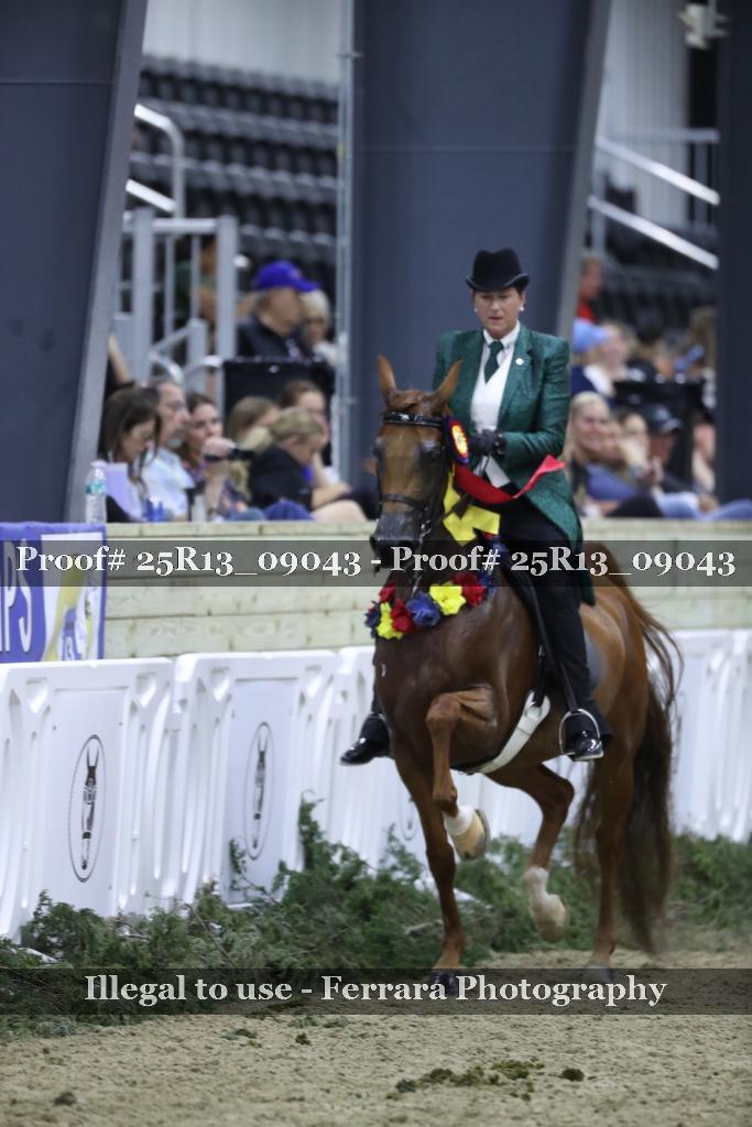Proof 25R13_09043