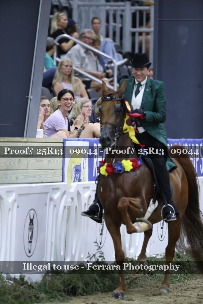 Proof 25R13_09044