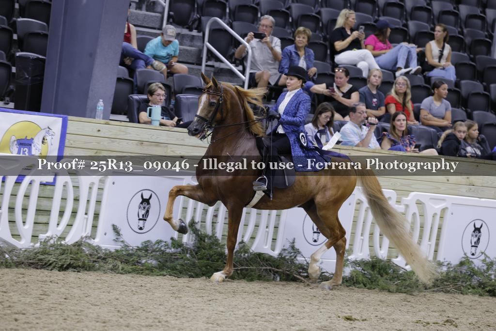 Proof 25R13_09046