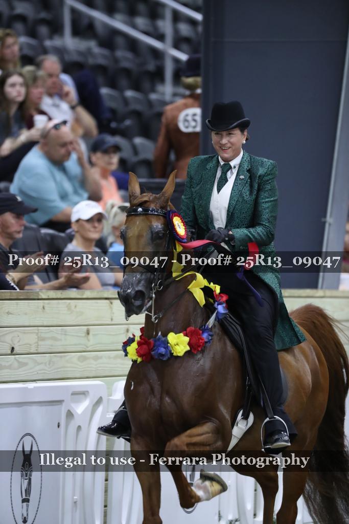 Proof 25R13_09047