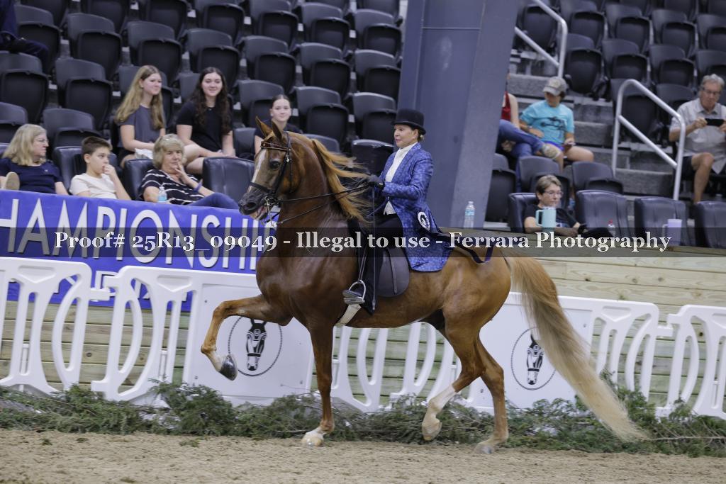 Proof 25R13_09049