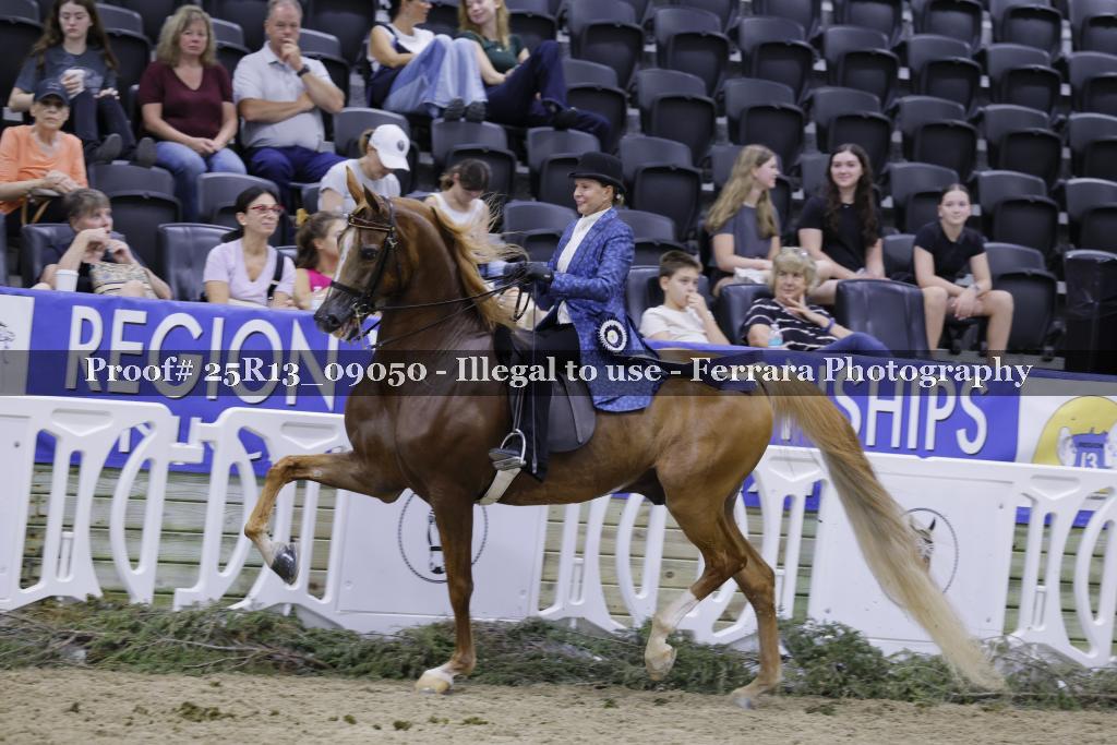 Proof 25R13_09050