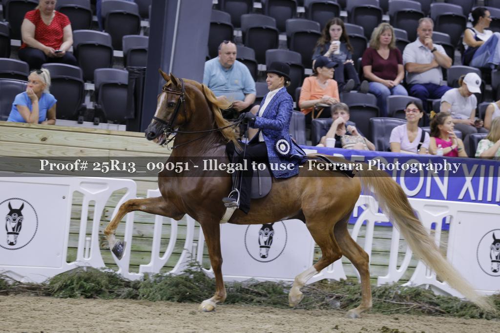 Proof 25R13_09051
