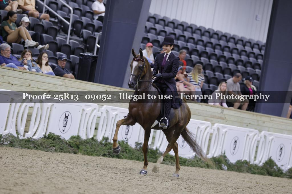 Proof 25R13_09052