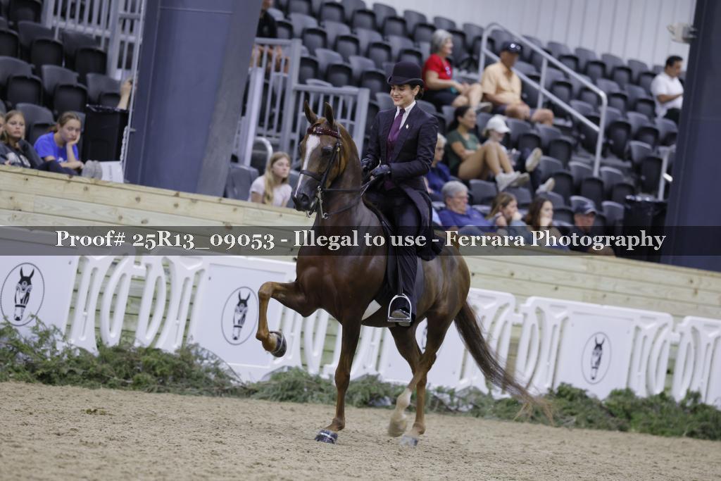 Proof 25R13_09053