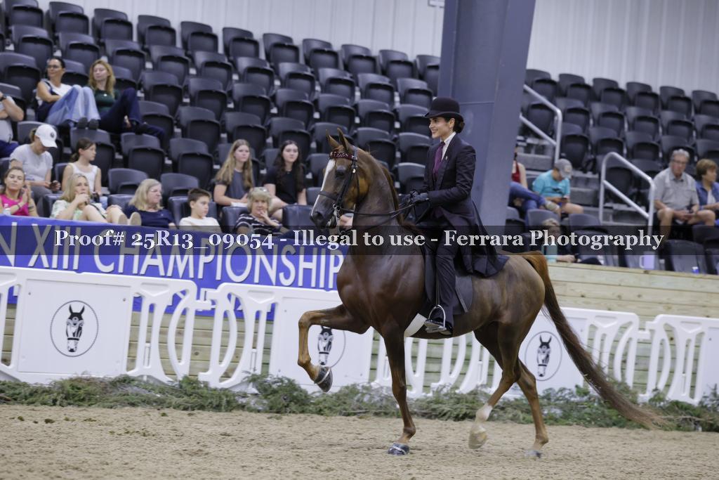 Proof 25R13_09054