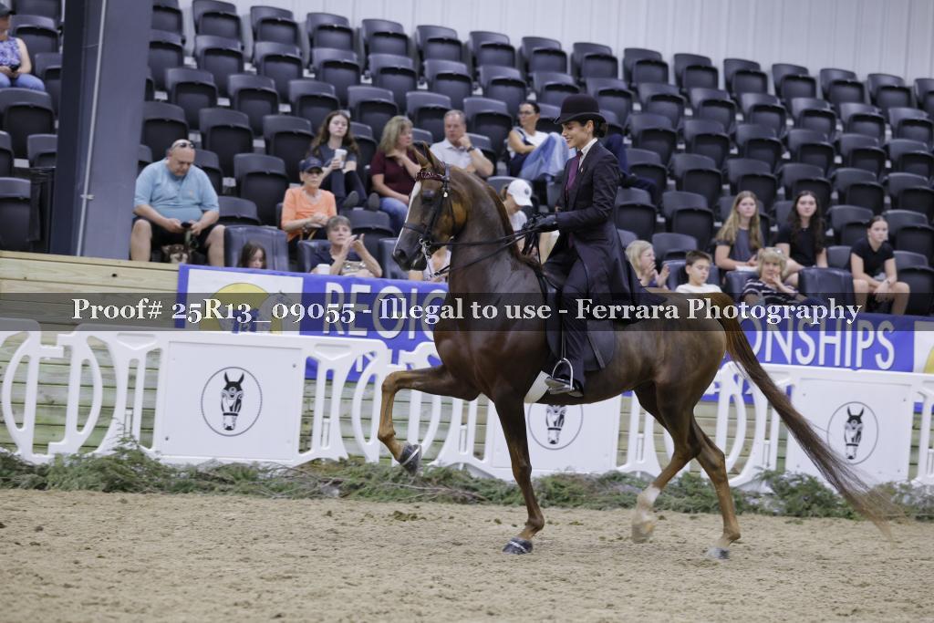 Proof 25R13_09055