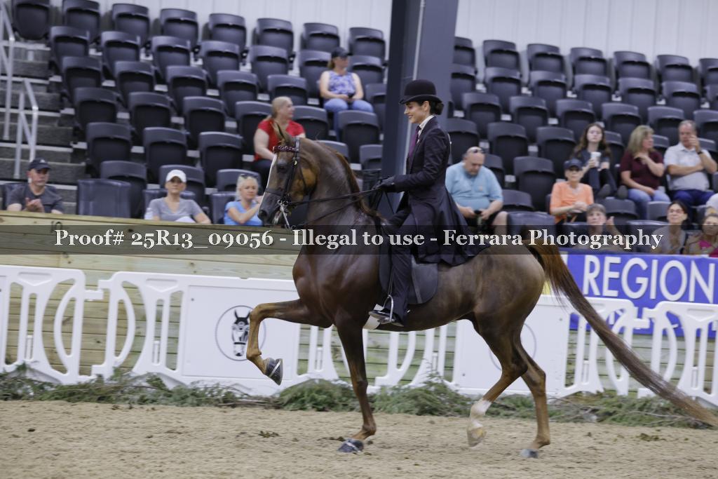 Proof 25R13_09056