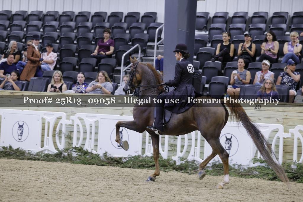 Proof 25R13_09058