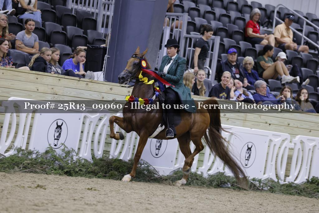 Proof 25R13_09060