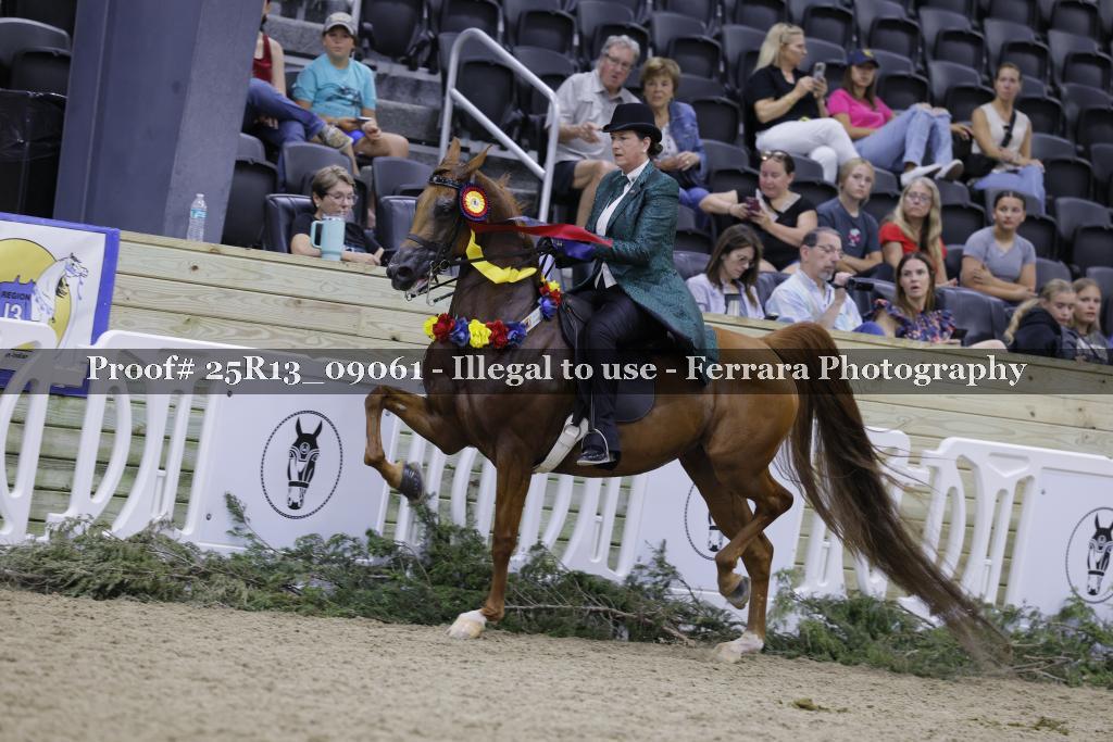 Proof 25R13_09061