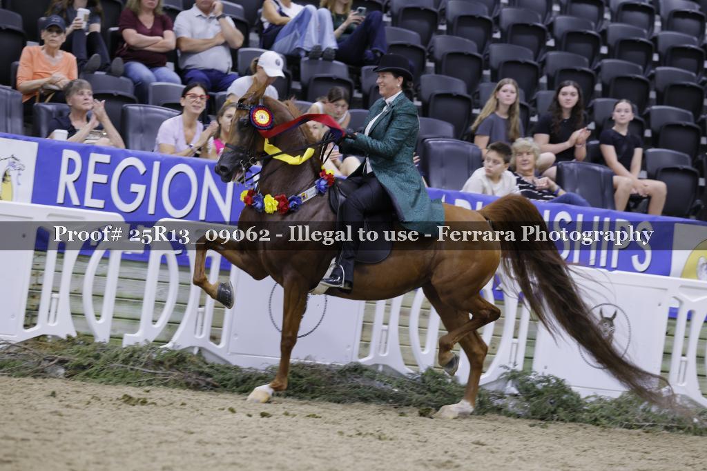 Proof 25R13_09062