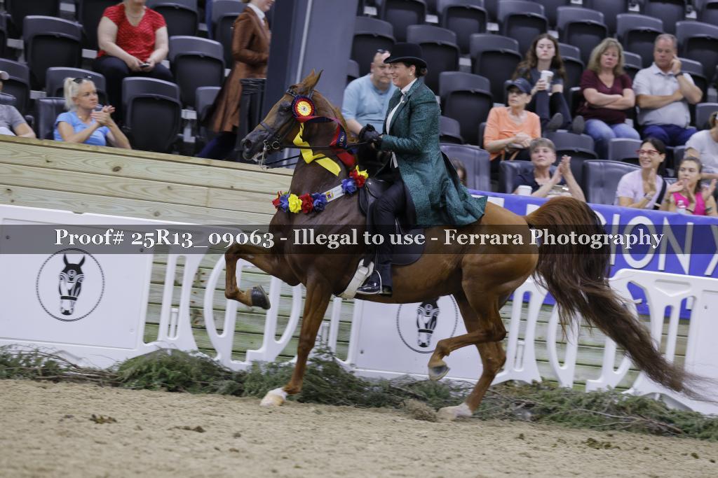Proof 25R13_09063