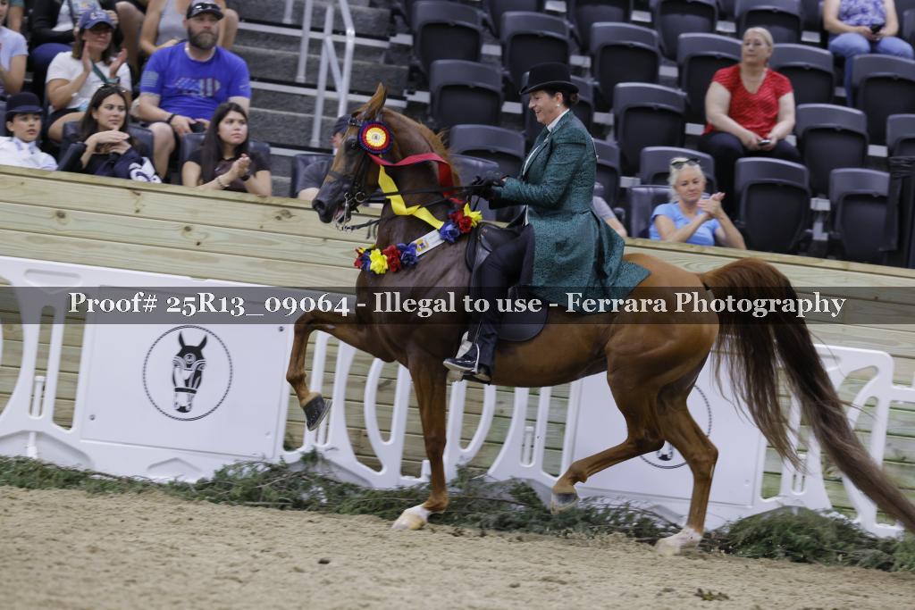 Proof 25R13_09064