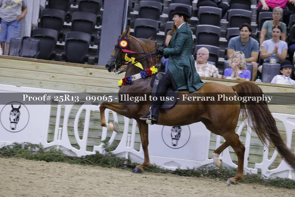 Proof 25R13_09065