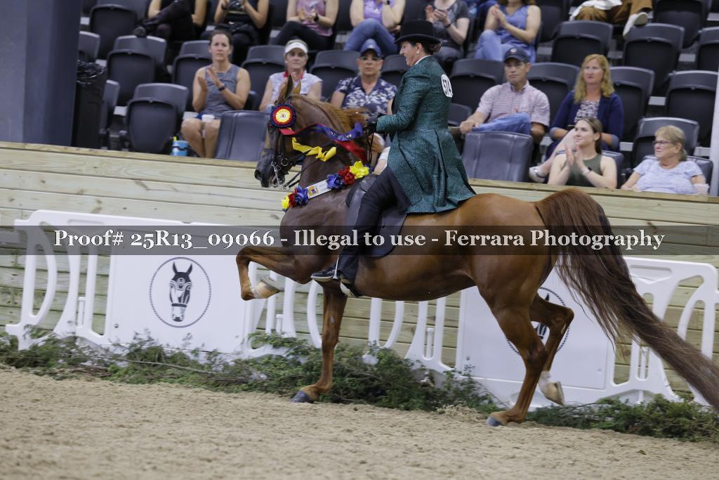 Proof 25R13_09066