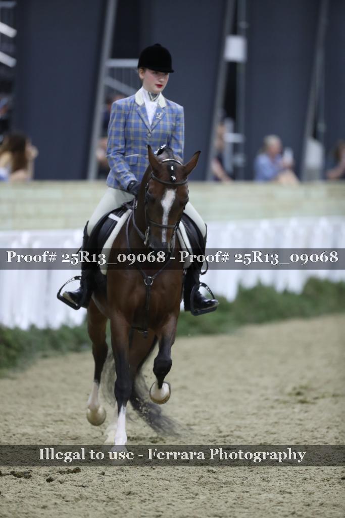 Proof 25R13_09068