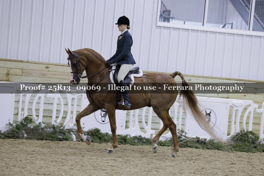 Proof 25R13_09069