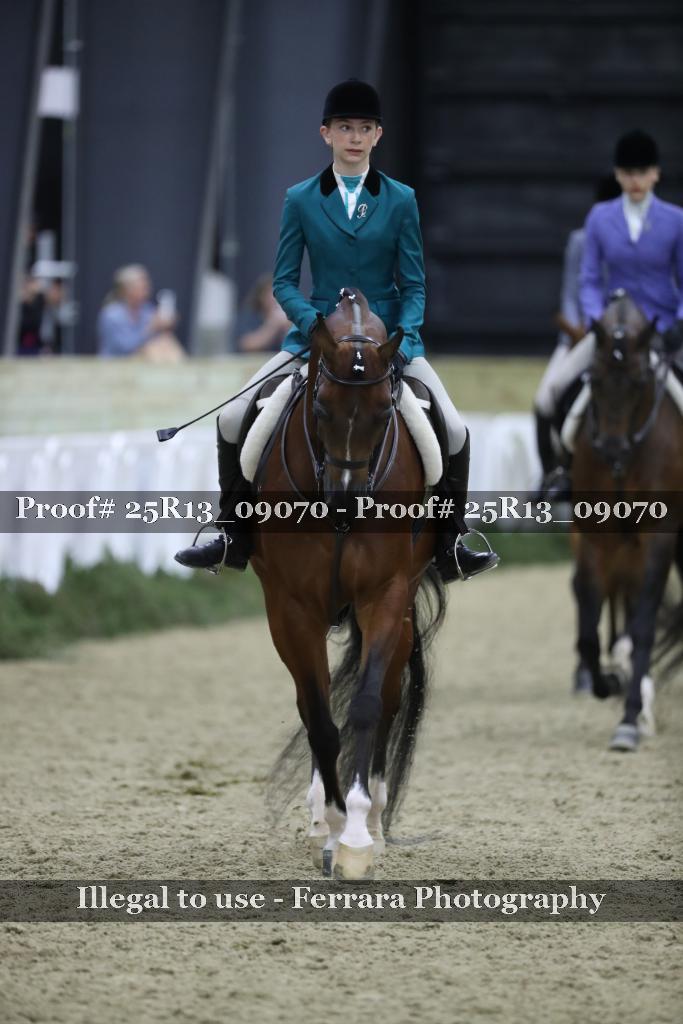 Proof 25R13_09070
