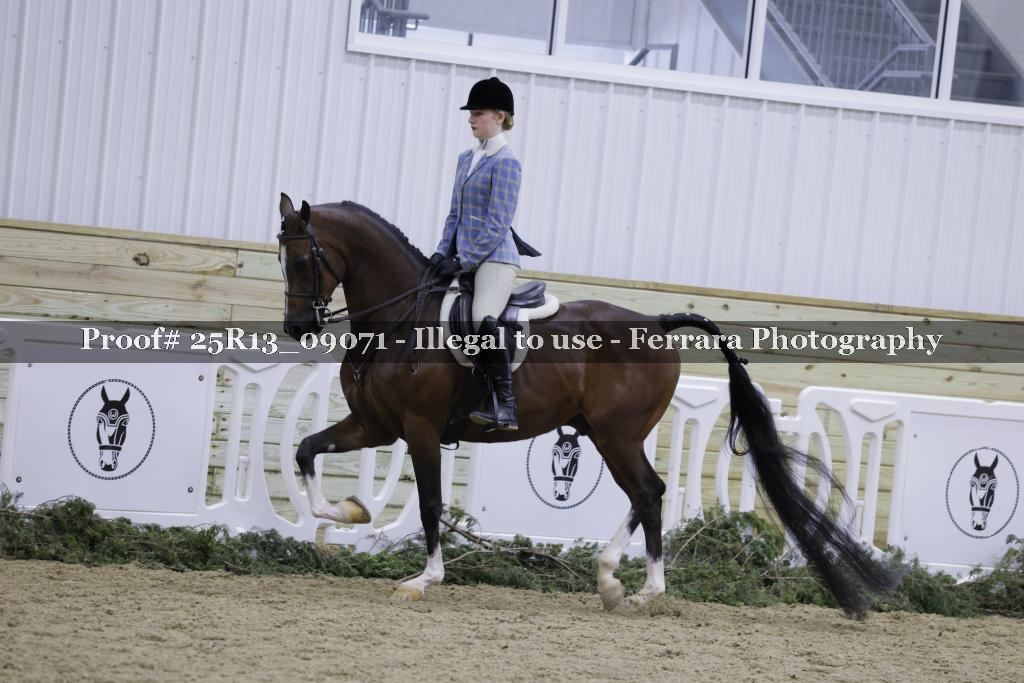 Proof 25R13_09071