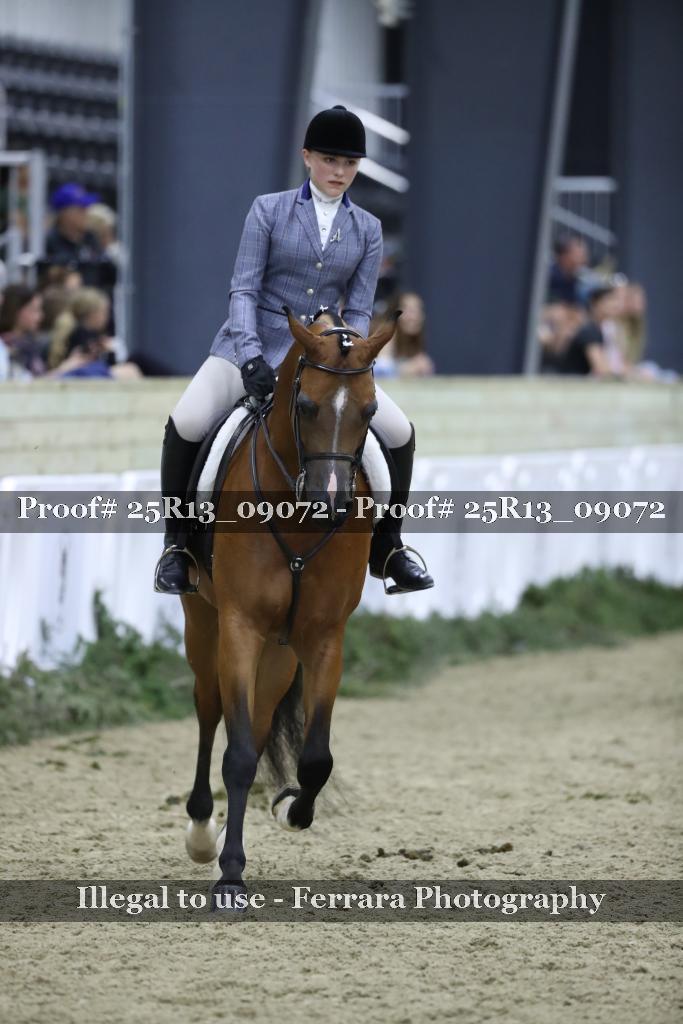 Proof 25R13_09072
