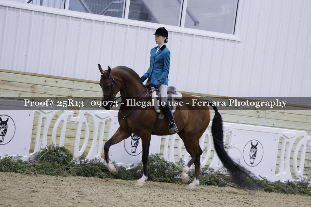 Proof 25R13_09073