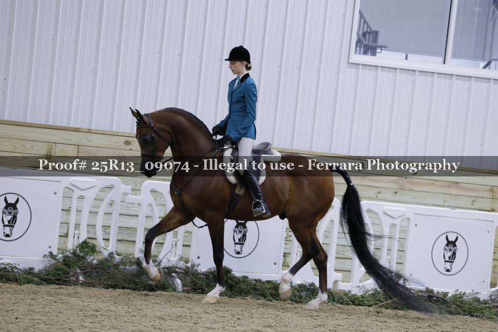 Proof 25R13_09074